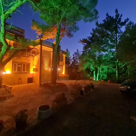 Sari Butik Hotel Gure